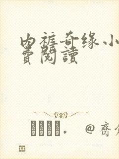 内裤奇缘小说免费阅读