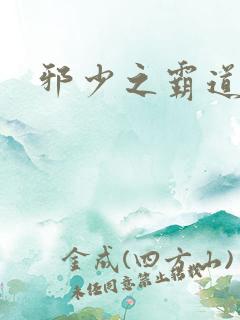 邪少之霸道娇妻