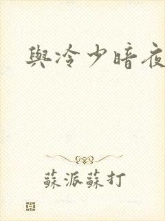 与冷少暗夜孽爱