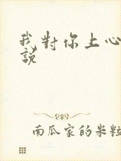 我对你上心了小说