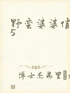 野蛮婆婆俏媳妇5