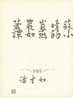 萧严肖晴苏雨溪谭如燕的小说在线阅读