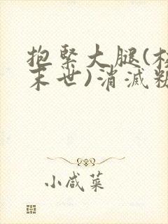 抱紧大腿(校园末世)消灭糖果小说