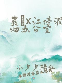 严峫X江停润滑油办公室