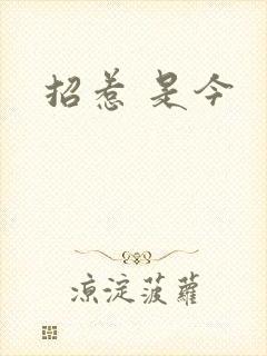 招惹 是今