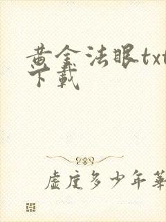 黄金法眼txt下载
