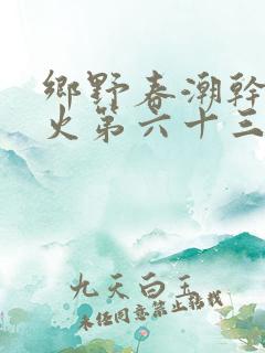 乡野春潮干柴烈火第六十三章