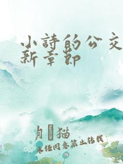 小诗的公交车最新章节