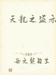 天龙之盗亦有道