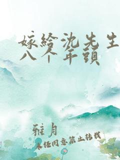 嫁给沈先生的第八个年头