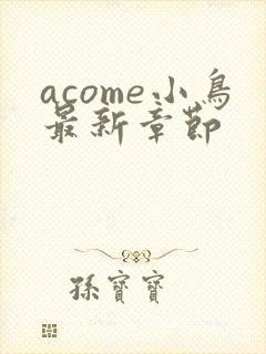 acome小鸟最新章节