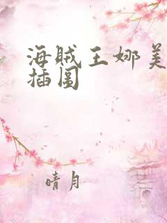 海贼王娜美被轮插图