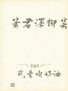 萧君泽柳芸小说