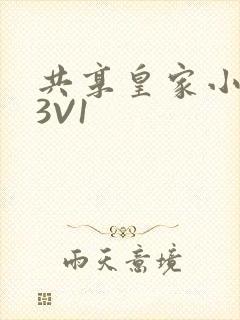 共享皇家小公主3V1