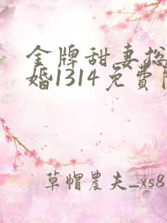 金牌甜妻总裁宠婚1314免费阅读