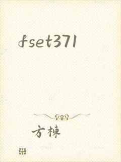 fset371