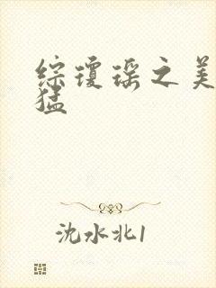 综琼瑶之美人凶猛