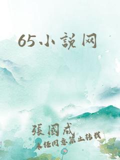 65小说网