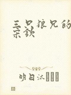 三只狼兄的宠妻宋钦