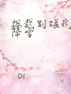 总裁别碰我 韩降雪