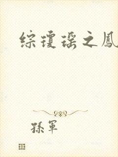 综琼瑶之凤鸾