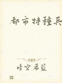 都市特种兵任天