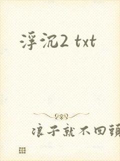 浮沉2 txt