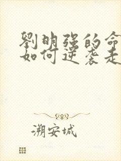 刘明强的命运会如何逆袭走上人生巅峰小说