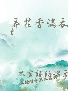 弄花香满衣txt