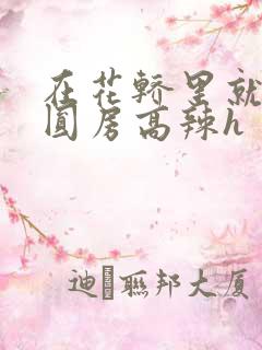 在花轿里就开始圆房高辣h