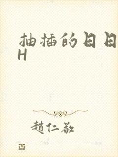 抽插的日日液液H