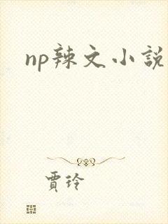 np辣文小说