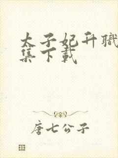 太子妃升职记全集下载