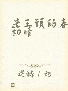 老王头的春天林初晴