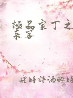 极品家丁之远方来客