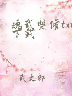 魂武双修txt下载