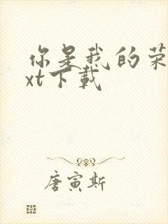 你是我的荣耀txt下载