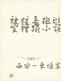 被校长抱进办公室糟蹋小说