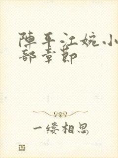 阵平江婉小说全部章节