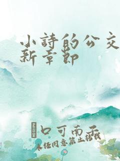 小诗的公交车最新章节