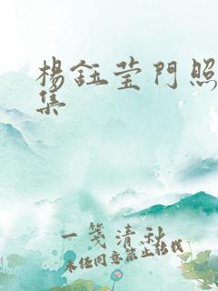 杨钰莹门照艳全集