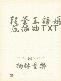 段誉王语嫣在井底插曲TXT