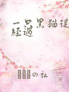 一只黑猫从眼前经过