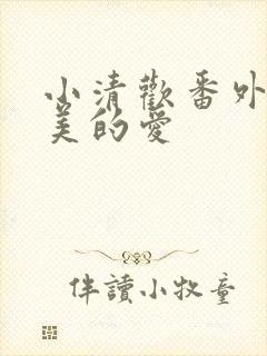 小清欢番外篇完美的爱