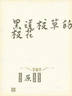黑道校草的黑道校花