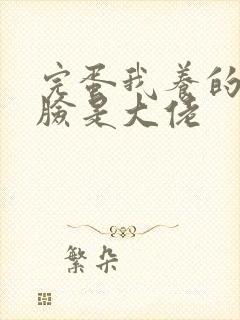 完蛋我养的小白脸是大佬