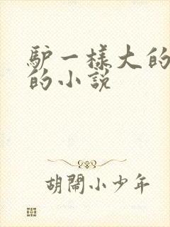 驴一样大的凶器的小说