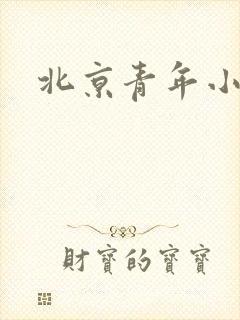 北京青年小说