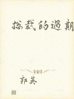 总裁的过期情人