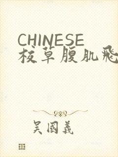 CHINESE校草腹肌飞机视频